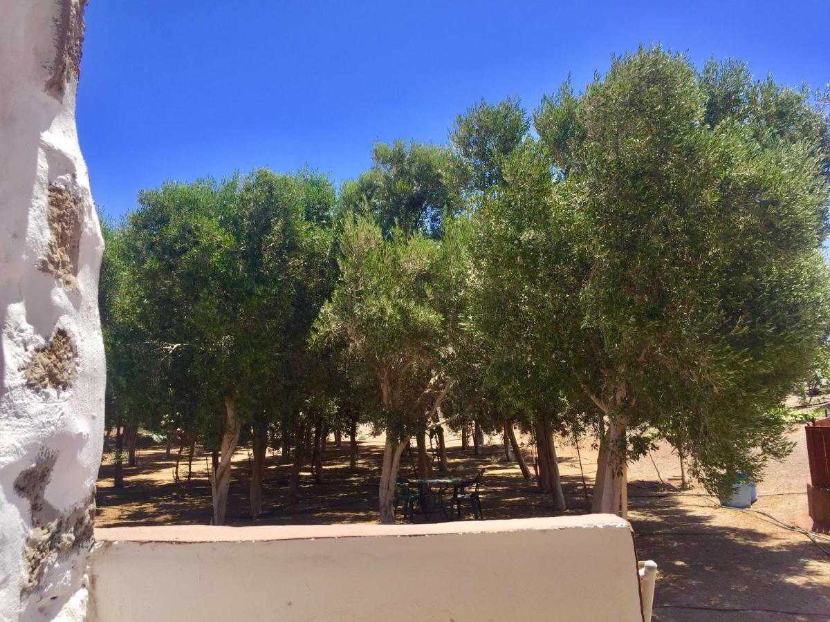 Eco-Eden Adults Only Διαμέρισμα Tuineje Εξωτερικό φωτογραφία